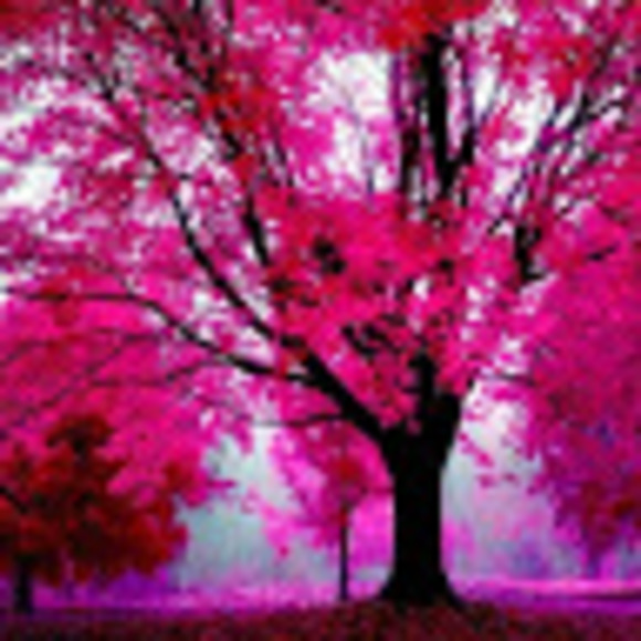 Meet your Posher, Alex - Picture 1 of 1